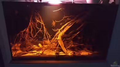 Rio Negro - aufgelöst - nur noch als Beispiel von pacho