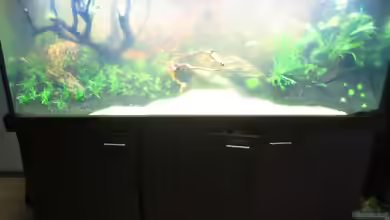 Rio Orinoco von Uwe Trauernicht