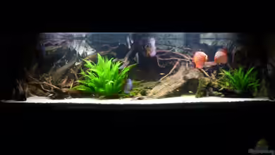 Rio Pampo (aufgelöst) von carkl