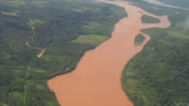 Rio Ucayali und seine Bedeutung für die Aquaristik