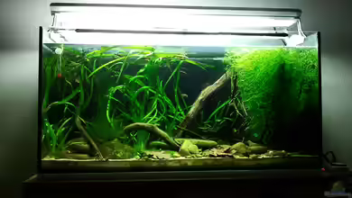 River of White Clouds Mountains von *fly_high*