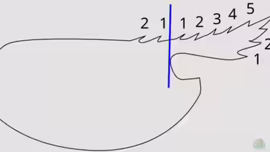 Rostrumformel: Ein umfassender Leitfaden für Aquaristik-Enthusiasten