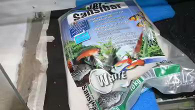 Sansibar Sand als Deko im Aquarium