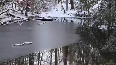Schnee auf dem Gartenteich: Muss die Eisfläche freigeräumt werden?