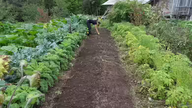 Selbstversorgergarten - Der große Praxisleitfaden für ein unabhängiges Leben aus dem eigenen Garten