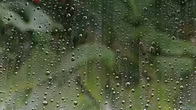 Sickerflächen im Garten: Wie Regenwasser die Bodenwasserversorgung unterstützen kann