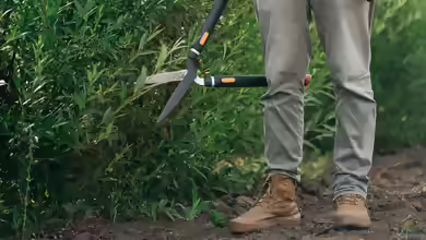 Sinnvolle Schutzkleidung bei der Gartenarbeit