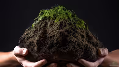 So bekommst du humusreichen Gartenboden