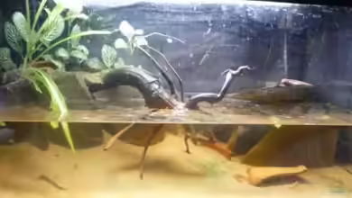 So nicht mehr vorhanden von Robert