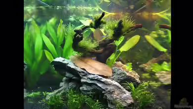 Somewhere else von Marco B.