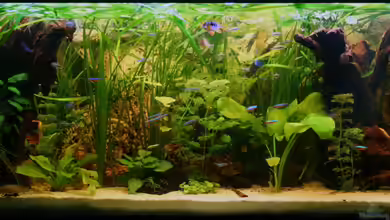 south america - green hell von NlLs M0nt