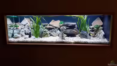 Stonefield von Berie