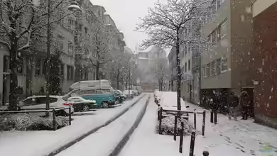 Streusalz im Winter: Ökologisch problematisch?