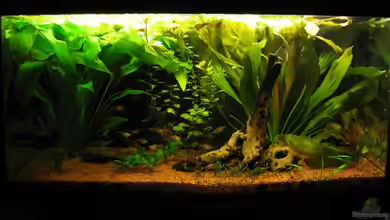 Süd- / Mittelamerika von TurboTorsten