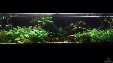 Südamerika 2 von Eginger