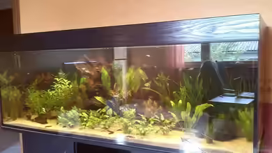 Südamerika im Westerwald (nur noch Beispiel) von Florian P.