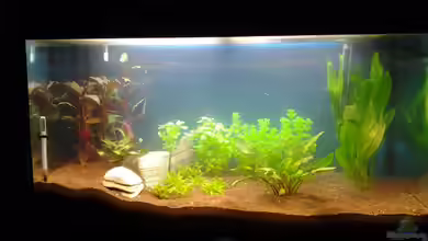 Südamerika Rio 125 von Andreas Werner