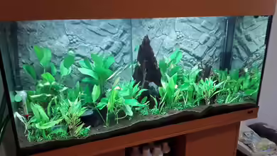 Südamerika Rio 300 von Skalarfan