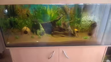 Südamerika von Alexander Alexander