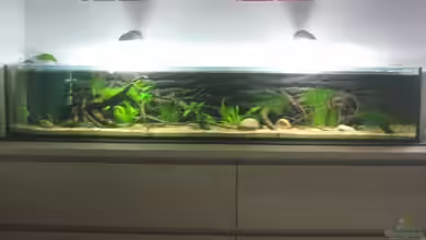 SüdOstAsien (Indien) 105L (nur noch Beispiel) von Tiburón