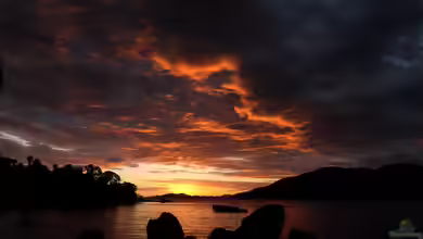 Süßwasser-Aquarienfische von der Insel Madagaskar - Einzigartige Arten, Haltung und Besonderheiten