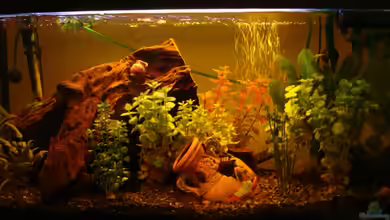 Take a minute von Javi