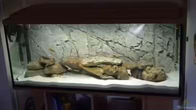 Tanganjika von Rheinfelder