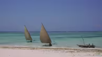 Tansania und den Osten Afrikas ins Aquarium holen