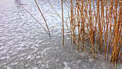 Teichtechnik im Winter: Was tun mit Pumpen und Filtern?