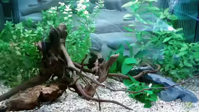 Test/Zweitbecken von -Wasserfreund-