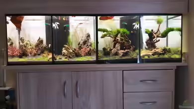 The Diy von Lucky3310