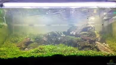 The Green Hill 240 Liter von Sven-0.