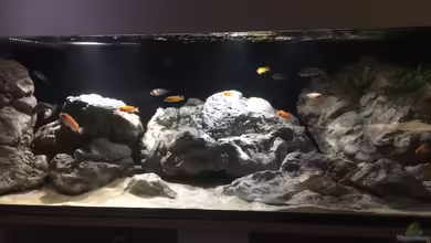 Theatre of stones von Marius88