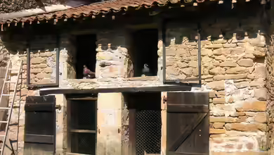 Tiere im Gartenhaus halten - Möglichkeiten, Tipps und rechtliche Grundlagen für ein harmonisches Zusammenleben im Garten