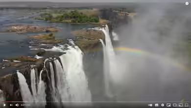 Tolles Video zur Malawi-Aquaristik