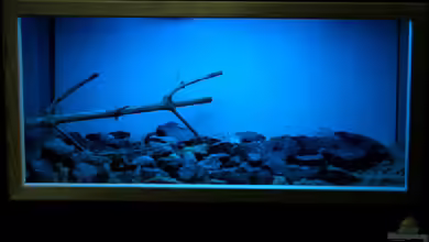 Towuti - Lake von Falk