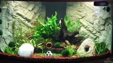 Trigon 190 von Axman