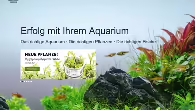 Tropica Aquarium Plants: Produzent von Aquarienpflanzen und Pflegeprodukten