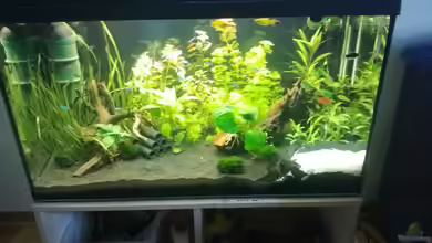 Unser 1. Becken von mari