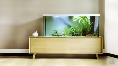 Unser Wohnzimmerschatz von Christian Büning