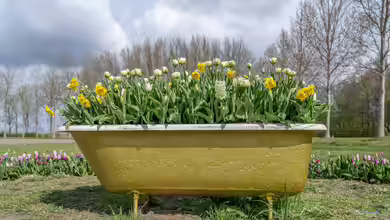 Upcycling: Das kannst du nachhaltig in deinem Garten umsetzen
