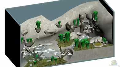 Vampirkrabben Paradies von Drako