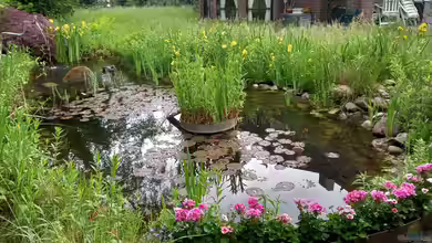 Verdunstung: Ein Problem für deinen Gartenteich?