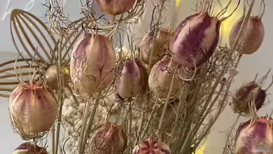 Vom Beet in die Vase - Natürliche Dekorationen mit Trockenpflanzen