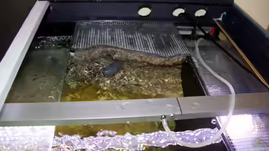 Wärmerückgewinnung bei modernen LED-Lampen im Aquarium