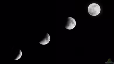 Was hat der Mond mit dem Gärtnern zu tun?