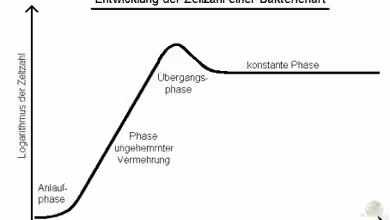 Was passiert im zugeschlammten Filter wirklich?Ganz Wichtiger Beitrag für Anfänger!