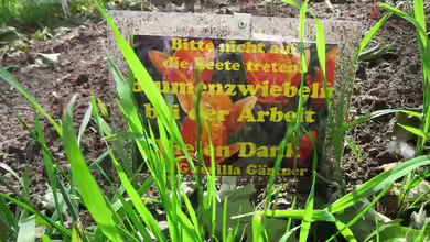 Was versteht man unter Guerilla Gardening?