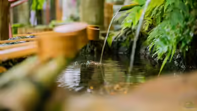 Wasserspiele im Gartenteich richtig platzieren