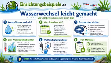 Wasserwechsel: So kannst du dir das Aquarianerleben leichter machen